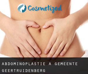 Abdominoplastie à Gemeente Geertruidenberg
