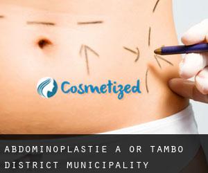 Abdominoplastie à OR Tambo District Municipality