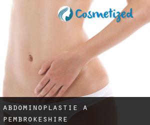 Abdominoplastie à Pembrokeshire