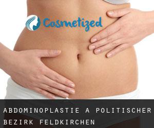 Abdominoplastie à Politischer Bezirk Feldkirchen