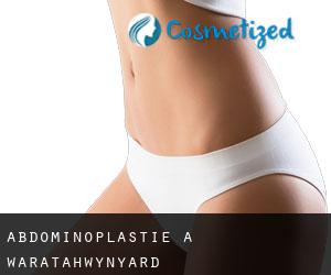 Abdominoplastie à Waratah/Wynyard Abdominoplastie à Waratah/Wynyard