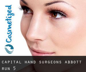 Capital Hand Surgeons (Abbott Run) #5