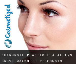chirurgie plastique à Allens Grove (Walworth, Wisconsin)