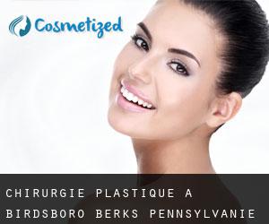 chirurgie plastique à Birdsboro (Berks, Pennsylvanie)