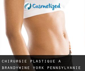 chirurgie plastique à Brandywine (York, Pennsylvanie)