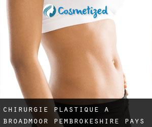 chirurgie plastique à Broadmoor (Pembrokeshire, Pays de Galles)