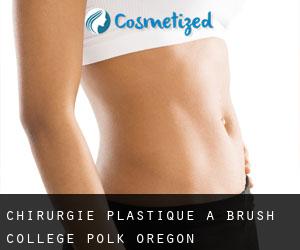 chirurgie plastique à Brush College (Polk, Oregon)