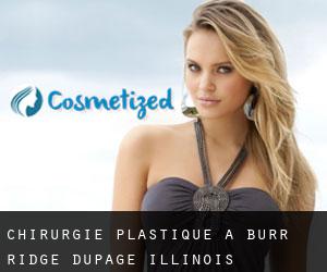chirurgie plastique à Burr Ridge (DuPage, Illinois)