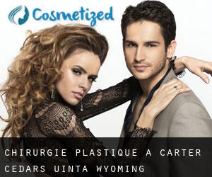 chirurgie plastique à Carter Cedars (Uinta, Wyoming)