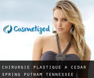 chirurgie plastique à Cedar Spring (Putnam, Tennessee)