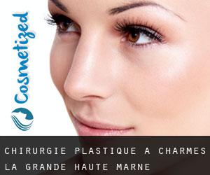 chirurgie plastique à Charmes-la-Grande (Haute-Marne, Champagne-Ardenne)