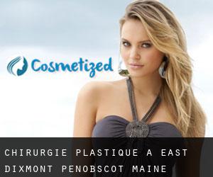 chirurgie plastique à East Dixmont (Penobscot, Maine)