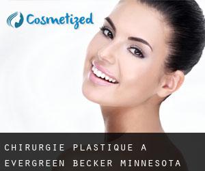 chirurgie plastique à Evergreen (Becker, Minnesota)