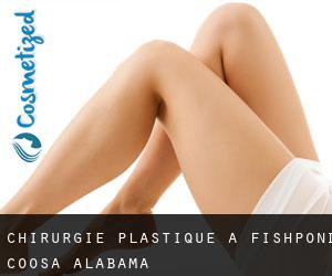 chirurgie plastique à Fishpond (Coosa, Alabama)
