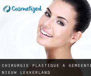 chirurgie plastique à Gemeente Nieuw-Lekkerland