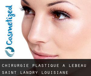 chirurgie plastique à Lebeau (Saint Landry, Louisiane)