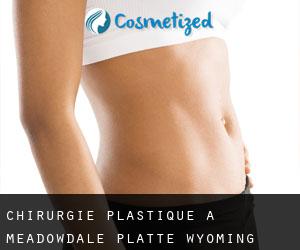 chirurgie plastique à Meadowdale (Platte, Wyoming)