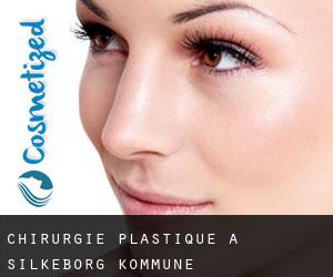 chirurgie plastique à Silkeborg Kommune