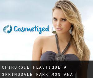 chirurgie plastique à Springdale (Park, Montana)