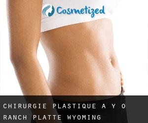 chirurgie plastique à Y-O Ranch (Platte, Wyoming)