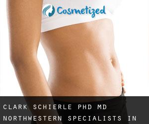 Clark SCHIERLE PhD, MD. Northwestern Specialists in Plastic Surgery, (Addison)