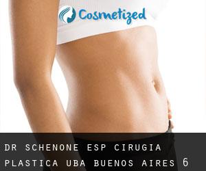 Dr Schenone Esp Cirugia Plastica Uba (Buenos Aires) #6