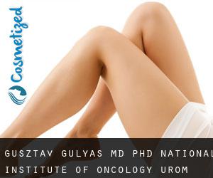 Gusztav GULYAS MD, PhD. National Institute of Oncology (Üröm)